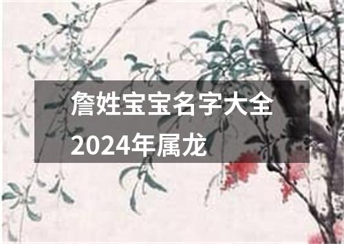 詹姓宝宝名字大全2024年属龙