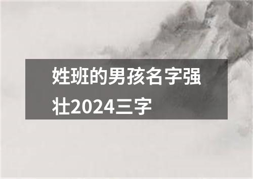 姓班的男孩名字强壮2024三字