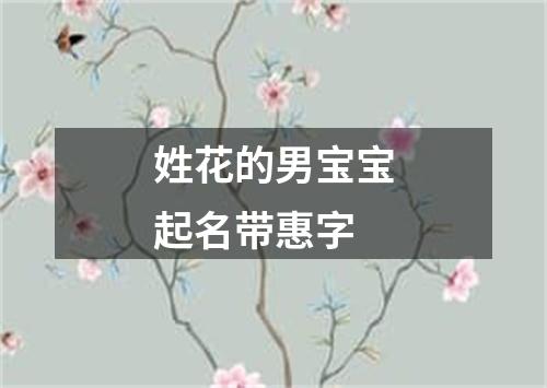 姓花的男宝宝起名带惠字