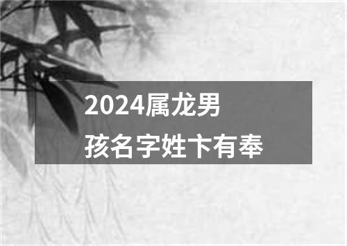 2024属龙男孩名字姓卞有奉