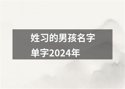 姓习的男孩名字单字2024年