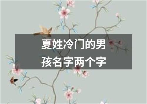 夏姓冷门的男孩名字两个字