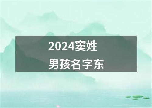 2024窦姓男孩名字东