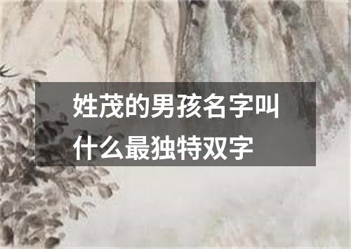 姓茂的男孩名字叫什么最独特双字