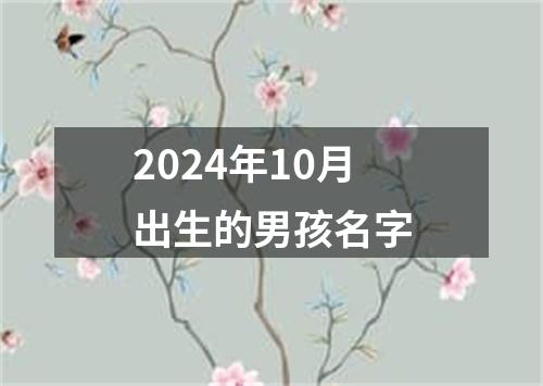 2024年10月出生的男孩名字