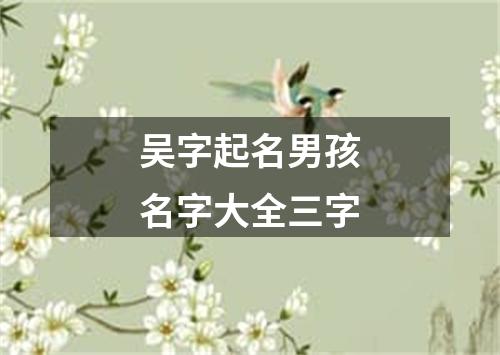 吴字起名男孩名字大全三字