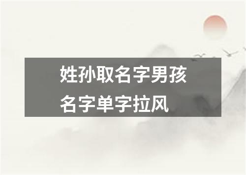 姓孙取名字男孩名字单字拉风