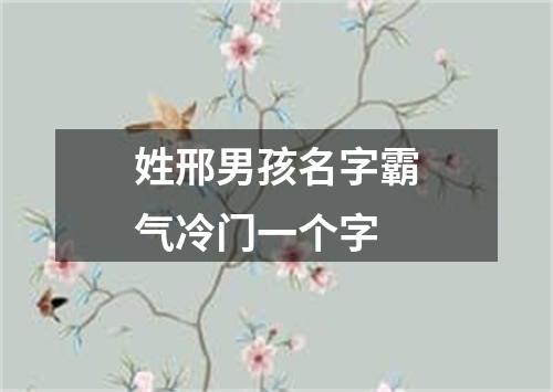 姓邢男孩名字霸气冷门一个字