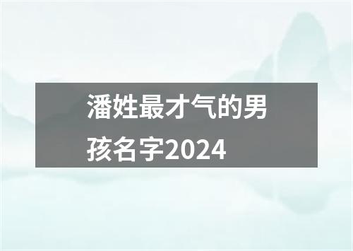 潘姓最才气的男孩名字2024