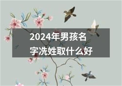 2024年男孩名字冼姓取什么好