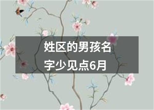 姓区的男孩名字少见点6月