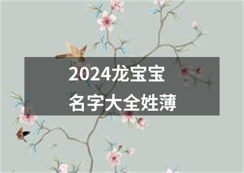 2024龙宝宝名字大全姓薄