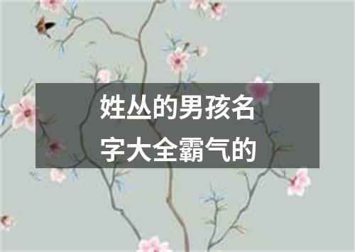 姓丛的男孩名字大全霸气的