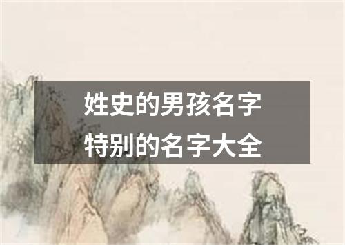 姓史的男孩名字特别的名字大全