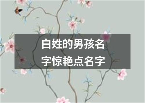 白姓的男孩名字惊艳点名字