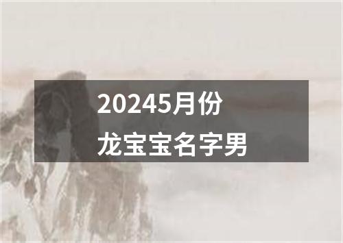 20245月份龙宝宝名字男