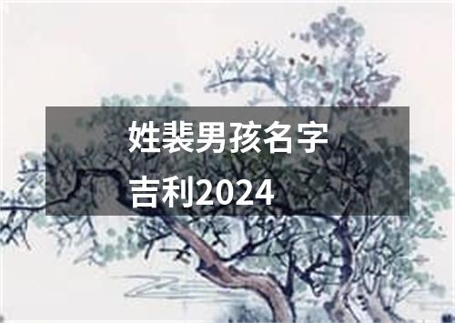 姓裴男孩名字吉利2024