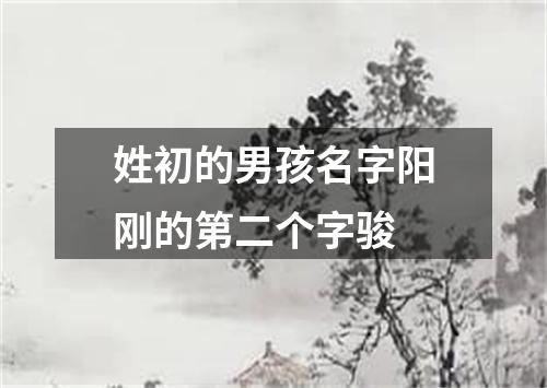 姓初的男孩名字阳刚的第二个字骏