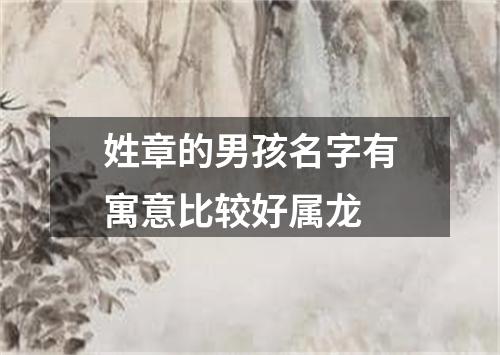 姓章的男孩名字有寓意比较好属龙