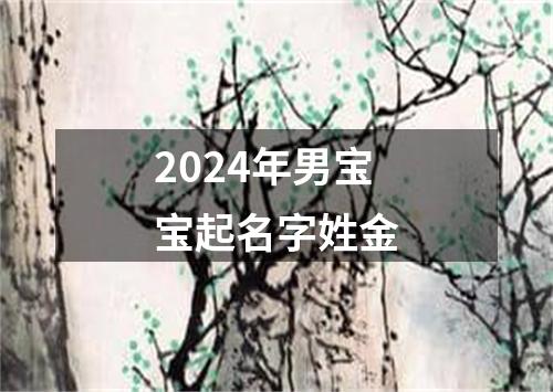 2024年男宝宝起名字姓金