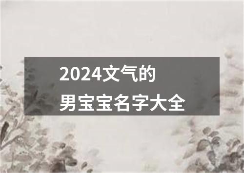 2024文气的男宝宝名字大全