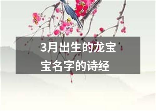 3月出生的龙宝宝名字的诗经