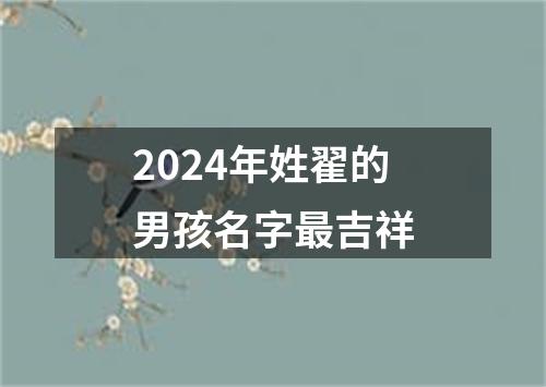 2024年姓翟的男孩名字最吉祥