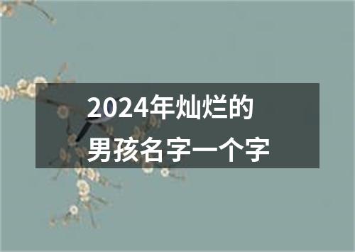 2024年灿烂的男孩名字一个字