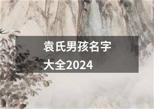 袁氏男孩名字大全2024