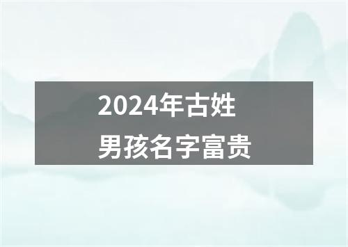 2024年古姓男孩名字富贵