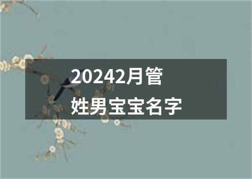 20242月管姓男宝宝名字