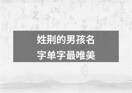 姓荆的男孩名字单字最唯美