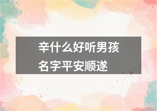 辛什么好听男孩名字平安顺遂