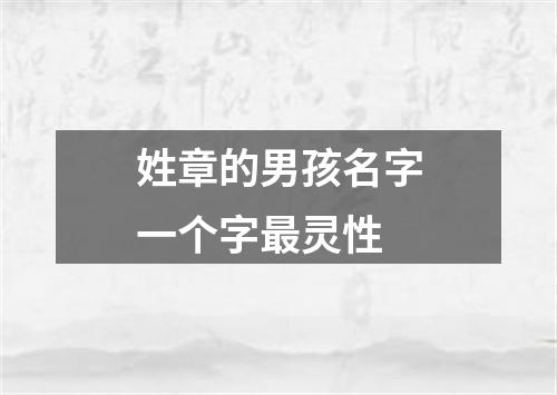 姓章的男孩名字一个字最灵性