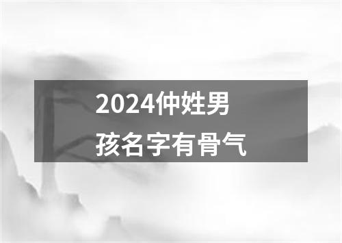 2024仲姓男孩名字有骨气