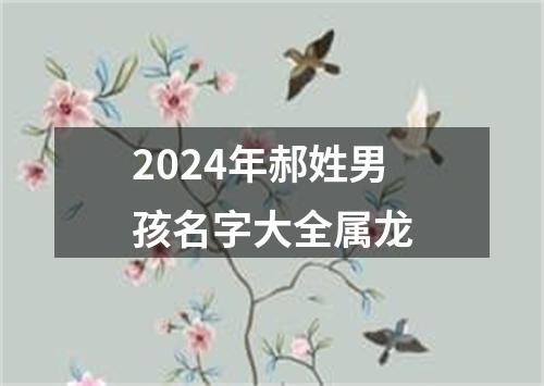 2024年郝姓男孩名字大全属龙