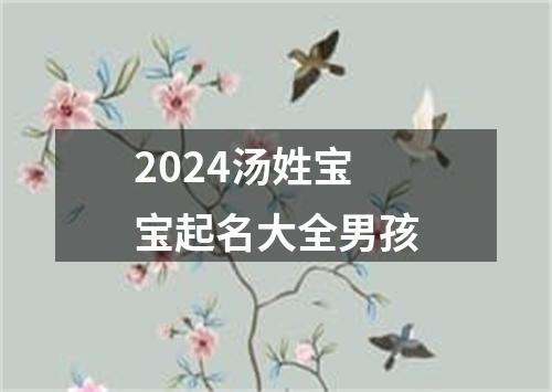 2024汤姓宝宝起名大全男孩