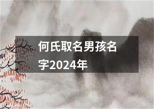 何氏取名男孩名字2024年