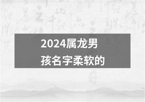 2024属龙男孩名字柔软的