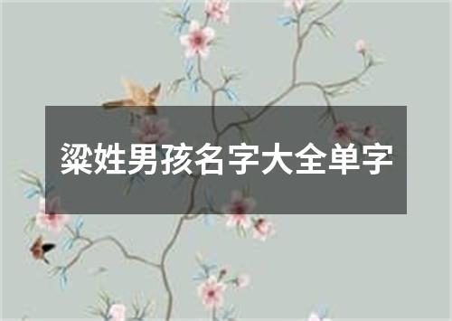 粱姓男孩名字大全单字