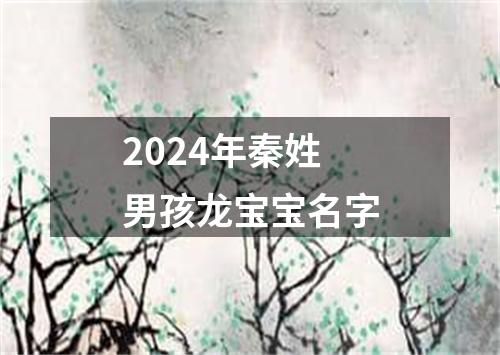 2024年秦姓男孩龙宝宝名字