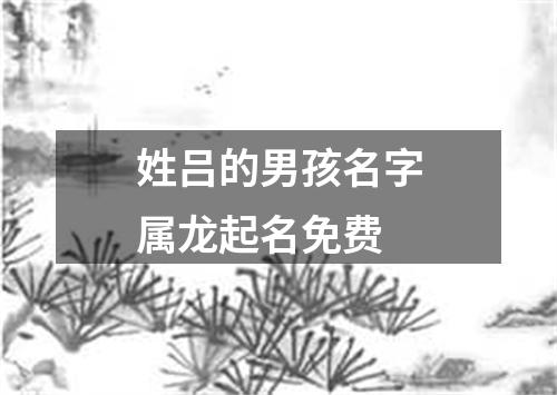 姓吕的男孩名字属龙起名免费