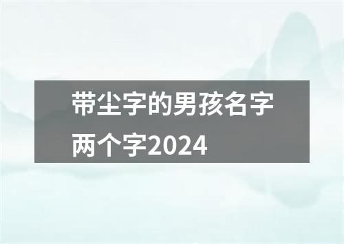 带尘字的男孩名字两个字2024