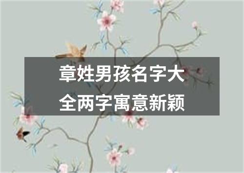 章姓男孩名字大全两字寓意新颖