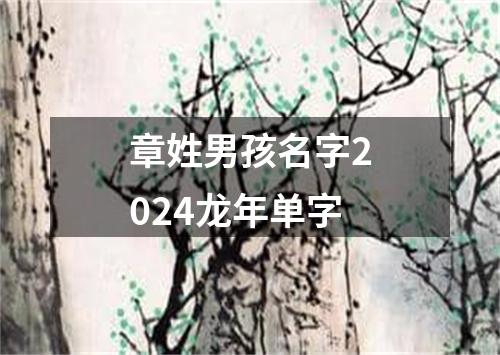 章姓男孩名字2024龙年单字