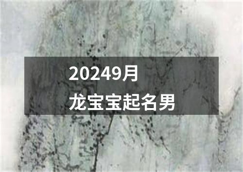 20249月龙宝宝起名男