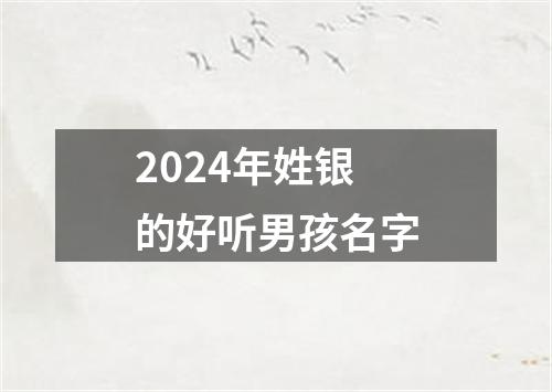 2024年姓银的好听男孩名字