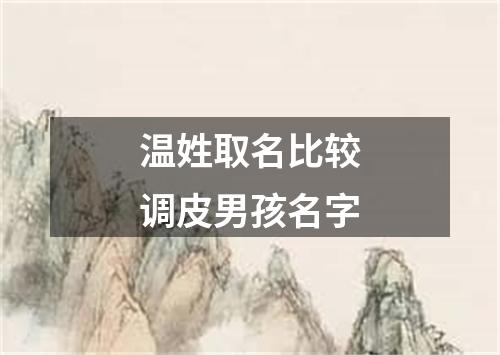 温姓取名比较调皮男孩名字