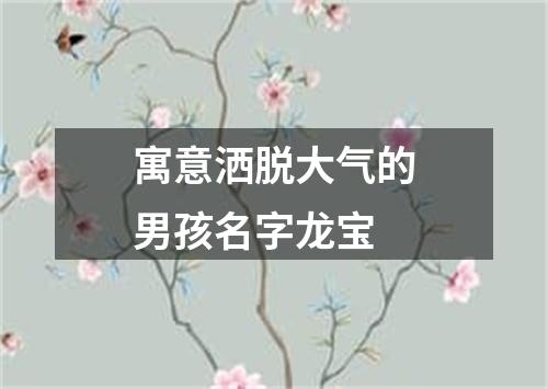 寓意洒脱大气的男孩名字龙宝