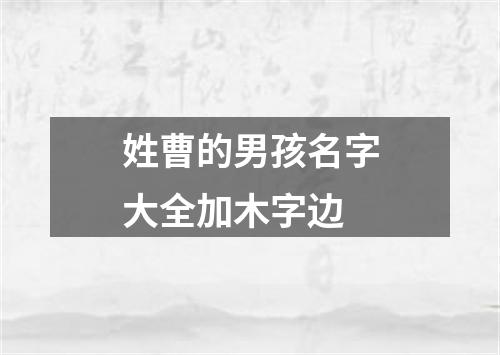 姓曹的男孩名字大全加木字边